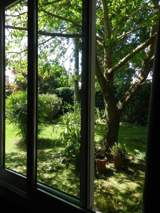 Apartment Casa Ines *